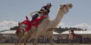Camel racing in Virgina City, Nevada