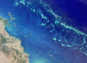 Great Barrier Reef viewed via satelite (Image: Wikimedia)